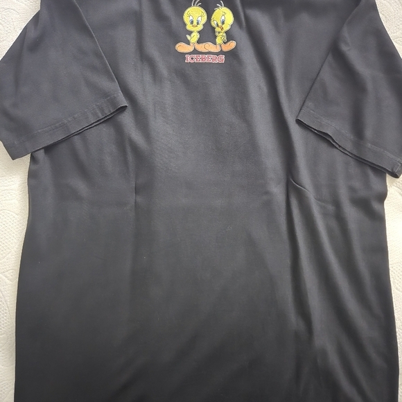 ICEBERG HISTORY - Picture 3 of 3